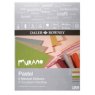 Daler Rowney Murano Pastel Paper Pad  - Neutral colours (16 x 12")