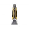 Royal Talens Rembrant Oil Colour 40ml  Light Gold - Series 3